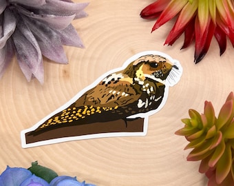 May include: A brown and yellow bird sticker with a long, thin beak and a white outline. The bird is perched on a branch and has a brown and yellow patterned body.
