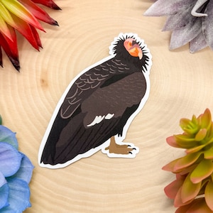 California Condor Sticker, California Condor Decal, Condor Gift, Condor Decor, California Condor Bird