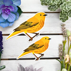 May include: Two yellow warbler bird stickers with black markings. The birds are facing different directions and have their wings spread out.
