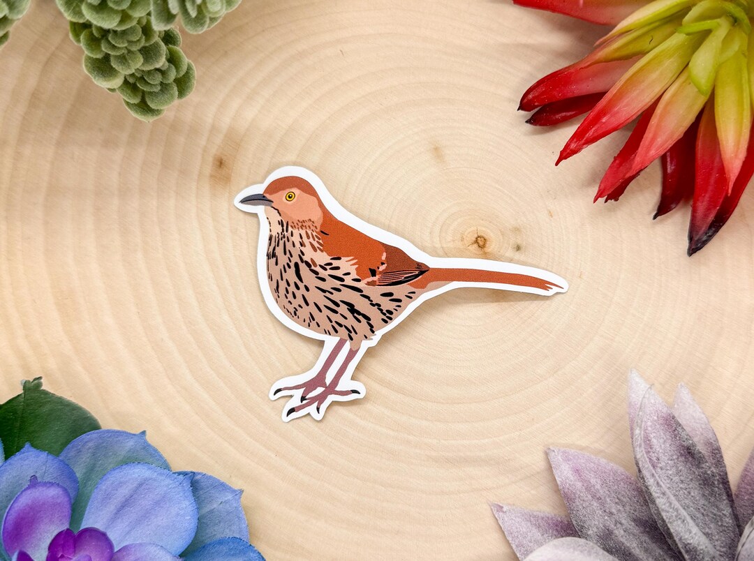 Thrush Bird Sticker Brown Thrasher Sticker, Bird Sticker, Birdwatching Sticker, Brown ...