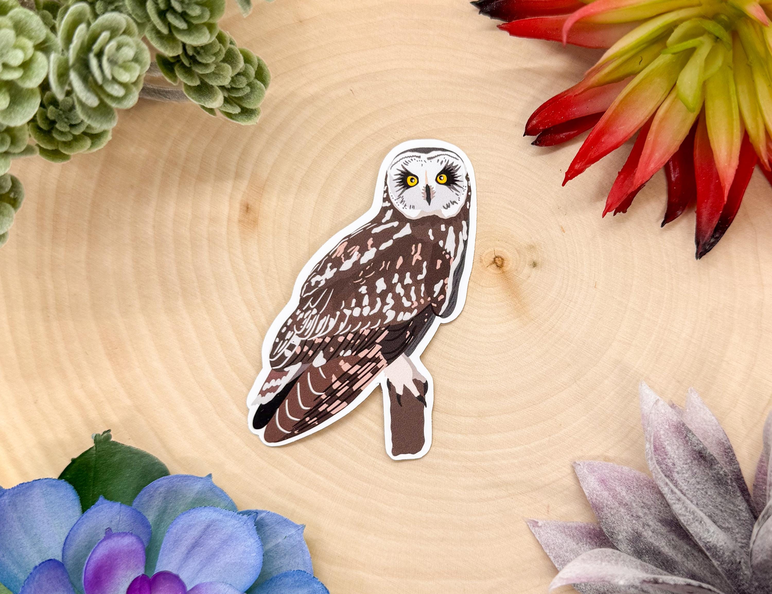 Short Eared Owl Sticker, Owl Sticker, Bird Sticker, Birdwatching Sticker, Short Eared Owl Decal, Owl