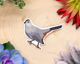 Gray Catbird Sticker, Catbird Sticker, Catbird Decal, Catbird Gift, Catbird Decor, Bird Sticker, Birdwatching Sticker, Birding Sticker,