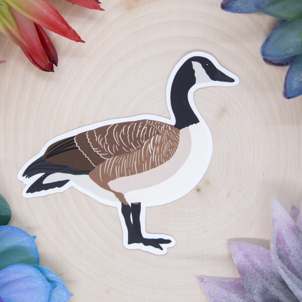 Canadian Goose Sticker, Canadian Goose Decal, Canadian Goose Gift, Canadian Goose, Bird Sticker, Birdwatching Sticker, Birding Sticker,