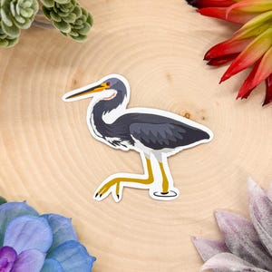 Tricolored Heron Sticker, Bird Sticker, Birdwatching Sticker, Birding Sticker, Tricolored Heron Decal, Tricolored Heron Gift, Heron Sticker