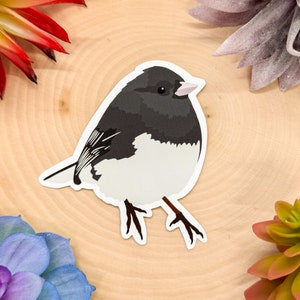 Dark Eyed Junco Sticker, Dark Eyed Junco Decal, Junco Gift, Junco Decor, Junco Bird Sticker, Junco Bird Decal, Dark Eyed Junco