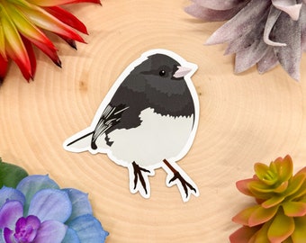 Dark Eyed Junco Sticker, Dark Eyed Junco Decal, Junco Gift, Junco Decor, Junco Bird Sticker, Junco Bird Decal, Dark Eyed Junco