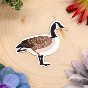 Canada Goose Sticker, Canadian Goose Decal, Canadian Goose Gift, Canadian Goose, Bird Sticker, Birdwatching Sticker, Birding Sticker,