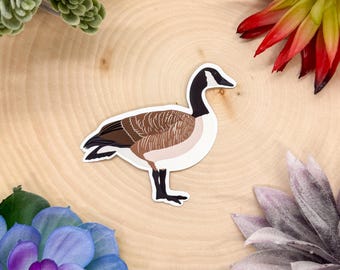 Canada Goose Sticker, Canadian Goose Decal, Canadian Goose Gift, Canadian Goose, Bird Sticker, Birdwatching Sticker, Birding Sticker,
