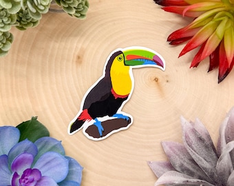 Keel Billed Toucan Sticker, Bird Sticker, Birdwatching Sticker, Birding Sticker, Toucan Decal, Toucan Decor, Toucan Art, Tropical Bird Art,
