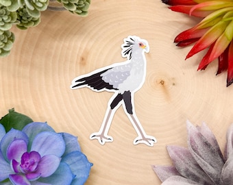 Secretary Bird Sticker, Bird Sticker, Birdwatching Sticker, Birding Sticker, Secretary Bird Decal, Secretary Bird Gift, Secretary Bird