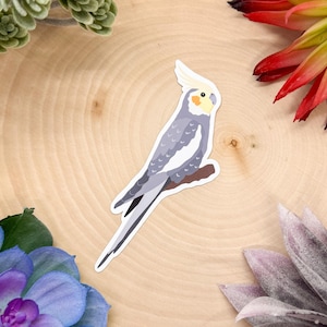 Cockatiel Sticker, Bird Sticker, Birdwatching Sticker, Birding Sticker, Cockatiel Decal, Cockatiel Decor, Cockatiel Gift, Cockatiel Pet