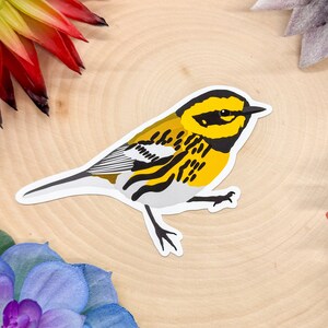 Townsends Warbler Sticker, Townsends Warbler Decal,  Townsends Warbler Bird Gift, Warbler Bird Decor, Warbler Sticker, Warbler Decal,