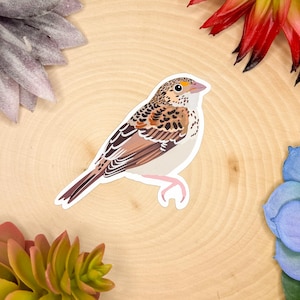 Grasshopper Sparrow Sticker, Grasshopper Sparrow Decal, Sparrow Gift, Sparrow Decor, Sparrow Bird Sticker, Sparrow  Bird Decal,