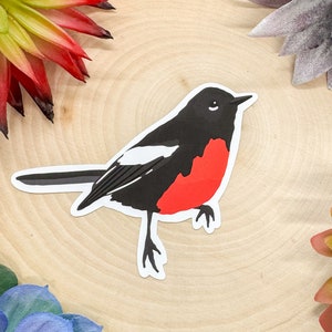 Painted Redstart Sticker, Painted Redstart Decal, Warbler Bird Gift, Warbler Bird Decor, Warbler Sticker, Warbler Decal,