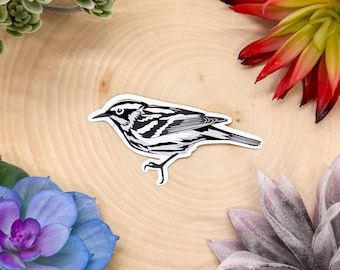 May include: Black and white illustration of a bird with a long tail and black and white stripes on its body. The bird is perched on a branch.