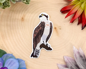Osprey Sticker, Bird Sticker, Birdwatching Sticker, Birding Sticker, Osprey Decal, Osprey Gift, Osprey Art, Osprey Decor, Osprey