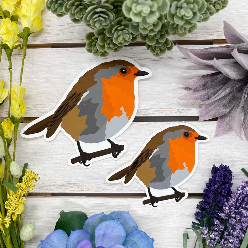 European Robin Sticker, Bird Sticker, Birdwatching Sticker, Birding ...