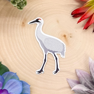 Whooping Crane Sticker, Whooping Crane Decal, Whooping Crane Decor, Whooping Crane Gift, Whooping Crane Bird, Whooping Crane