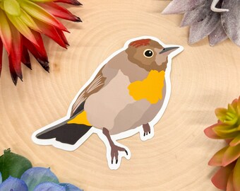 Virginias Warbler Sticker, Virginias Warbler Decal, Warbler Bird Gift, Warbler Bird Decor, Warbler Sticker, Warbler Decal,