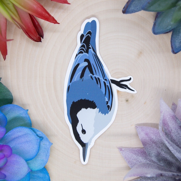 White Breasted Nuthatch Sticker, Bird Sticker, Birdwatching Sticker, Birding Sticker, Nuthatch Decal, Nuthatch Sticker, Nuthatch Gift,