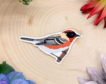 Peut inclure: Un autocollant représentant un petit oiseau coloré avec une tête noire, des ailes blanches et grises et un corps rouge et orange. L'oiseau est perché sur une branche.