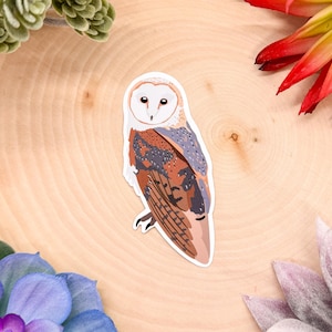 Barn Owl Sticker, Owl Sticker, Bird Sticker, Birdwatching Sticker, Birding Sticker, Barn Owl Decal, Barn Owl Gift, Barn Owl Decor, Barn Owl