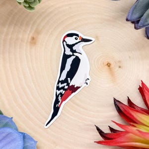 Buntspecht Aufkleber, Buntspecht Aufkleber, Buntspecht Geschenk, Buntspecht