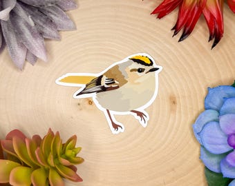 Golden Crowned Kinglet Sticker, Bird Sticker, Birdwatching Sticker, Birding Sticker, Kinglet Decal, Kinglet Sticker, Kinglet Gift,