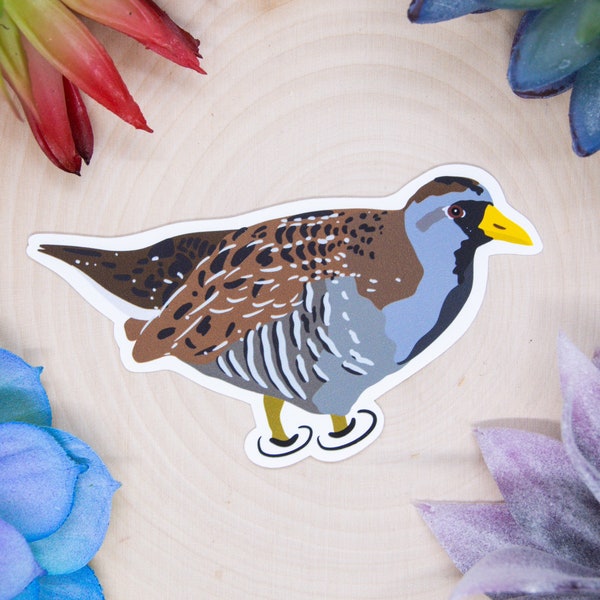 Sora Sticker, Sora Rail Sticker, Sora Decal, Sora Gift, Sora Decor, Sora Rail Decal, Bird Sticker, Birdwatching Sticker, Birding Sticker,