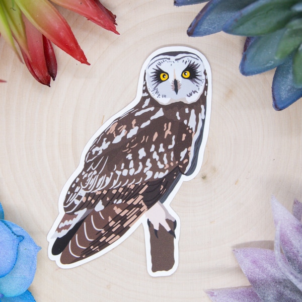 Short Eared Owl Sticker, Owl Sticker, Bird Sticker, Birdwatching Sticker, Short Eared Owl Decal, Owl Sticker, Owl Decal, Owl Art, Owls