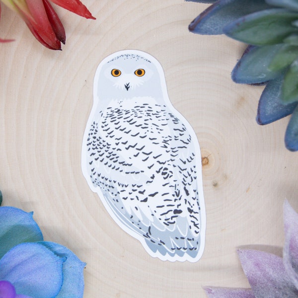 Snowy Owl Sticker, Bird Sticker, Birdwatching Sticker, Birding Sticker, Snowy Owl Decal, Snowy Owl Sticker, Hedwig Sticker, Hedwig Decal,