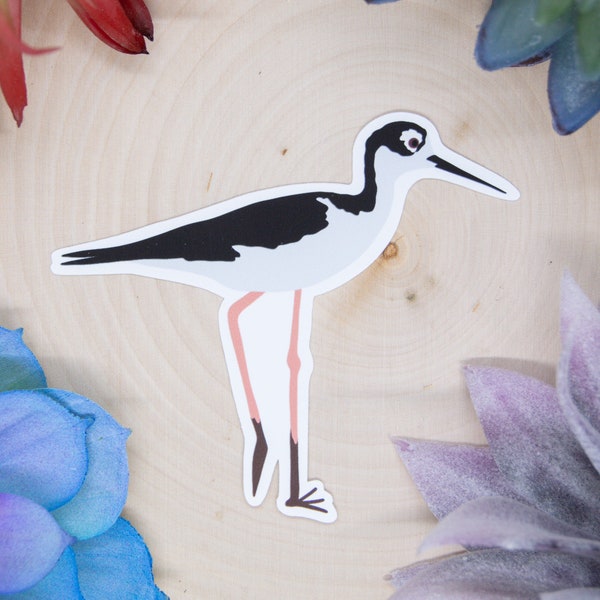 Black Necked Stilt Sticker, Bird Sticker, Birdwatching Sticker, Birding Sticker, Stilt Sticker, Black Necked Stilt Decal, Shorebird Decal