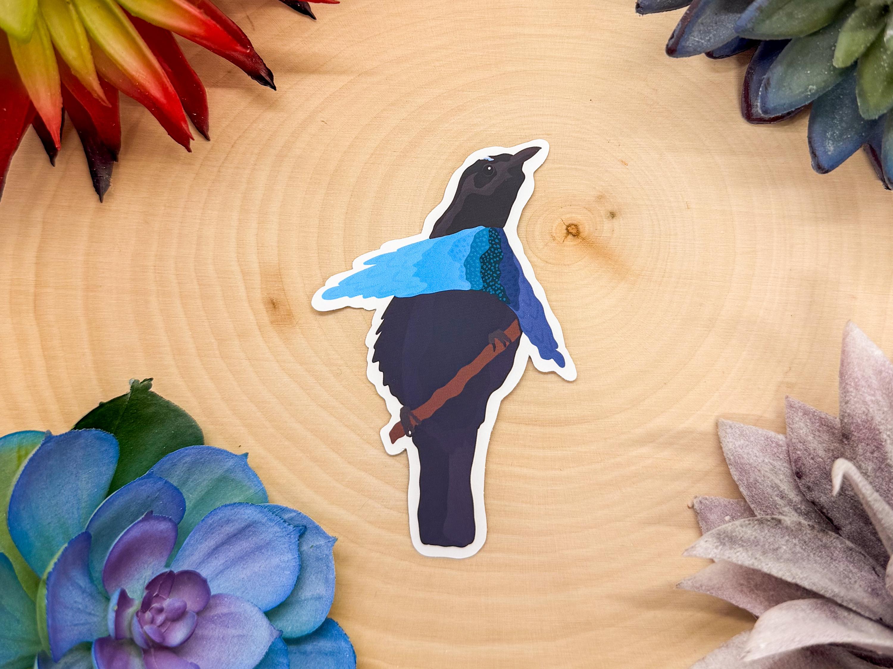 Super B Sticker Superb Bird of Paradise Sticker, Superb Bird of Paradise Decal ...