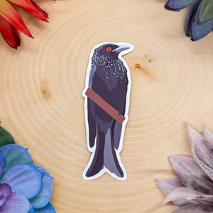 Könnte beinhalten: Ein Aufkleber mit einer stilisierten Illustration eines dunkelvioletten Vogels mit weißen Sprenkeln auf dem Kopf und einem roten Auge. Der Vogel sitzt auf einem braunen Ast. Der Aufkleber befindet sich auf einer Holzoberfläche, umgeben von bunten Blumen und Sukkulenten.