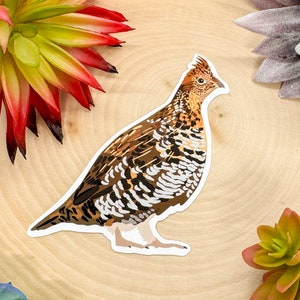 Ruffed Grouse Sticker, Ruffed Grouse Decal, Ruffed Grouse Gift, Ruffed Grouse Decor, Bird Sticker, Birdwatching Sticker, Birding Sticker,