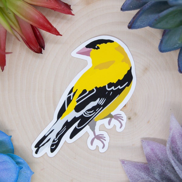 American Goldfinch Sticker, Bird Sticker, Birdwatching Sticker, Birding Sticker, Goldfinch Decal, Goldfinch Decor, Goldfinch Gift, Finch