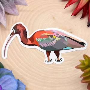 Glossy Ibis Sticker, Glossy Ibis Decal, Glossy Ibis Gift, Glossy Ibis Decor, Glossy Ibis Bird, Glossy Ibis, Glossy Ibis Lover