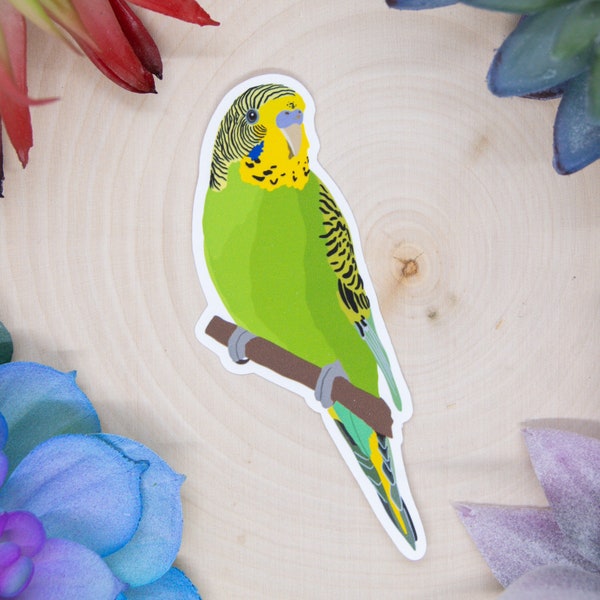 Green Parakeet Sticker, Bird Sticker, Birdwatching Sticker, Birding Sticker, Parakeet Decal, Parakeet Sticker, Parakeet Gift, Parakeet