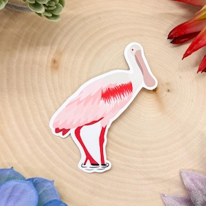 May include: A pink and red roseate spoonbill bird sticker. The bird is standing on one leg with its head turned to the side.