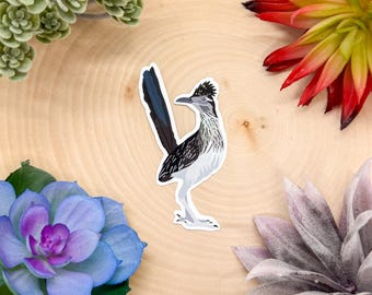 Peut inclure: Autocollant représentant un roadrunner, oiseau en position debout. Le corps de l'oiseau est noir et blanc, avec une longue queue noire et une tête grise. L'autocollant est posé sur une surface en bois clair, entouré de fleurs et de verdure colorées.