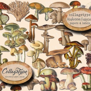 mushrooms and labels, journal embellishments, woodland, ephemera, paper, digital JPG