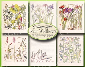 British wildflowers antique botanicals, pink, blue, purple, pdf, jpg, digital, 20 pages
