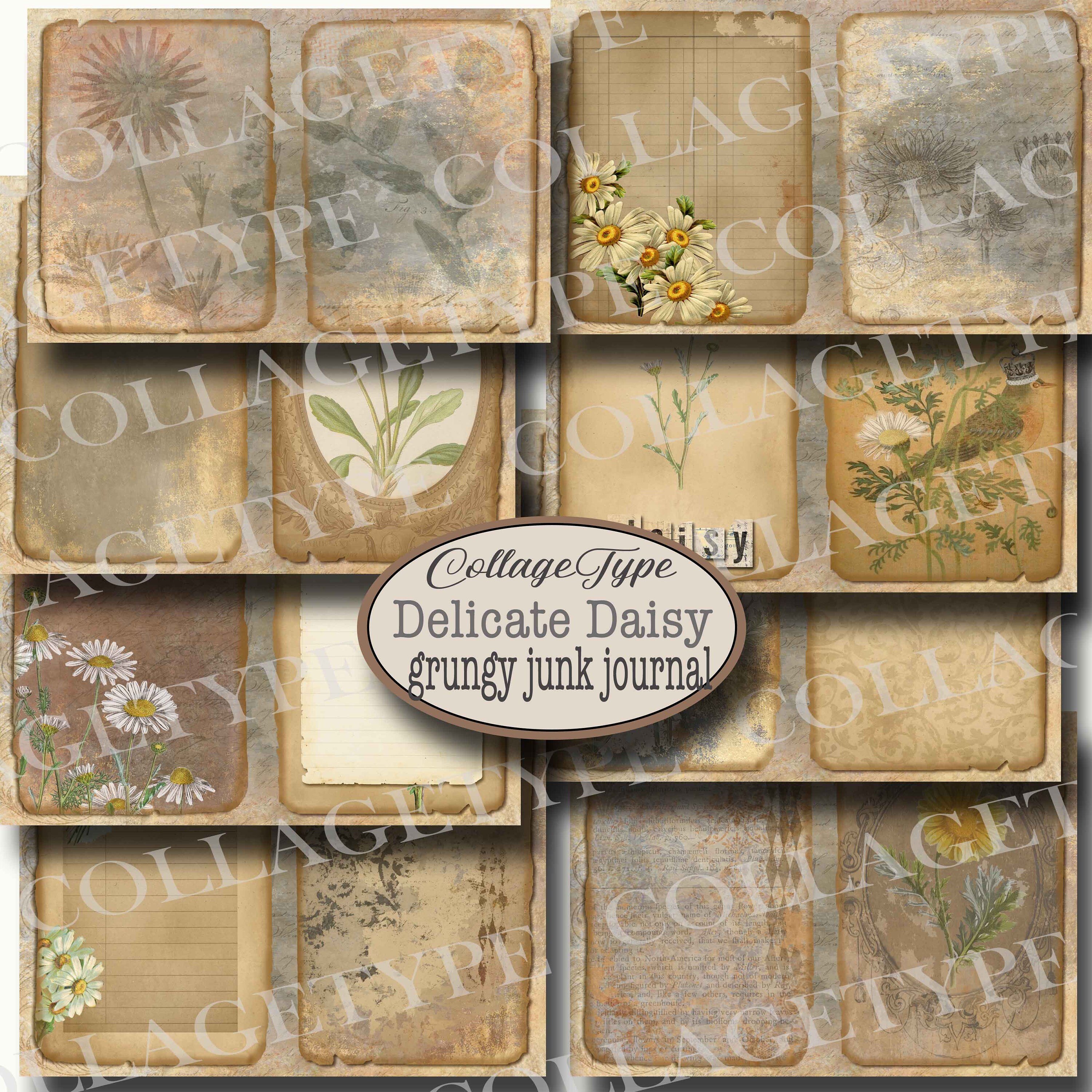 【オープニング大セール】 Sepia, Grunge, Daisies, Journal, Junk Ivory, Digital Page 21 パンツ