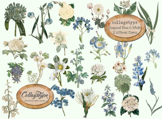 Junk Journal, Fussy Cut, 32 Flowers, JPG, Blue, White - Etsy Israel