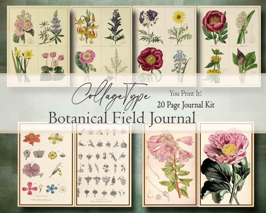 Botanical Field Guide Junk Journal Digital Ephemera Kit Vivid Flowers ...