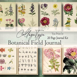 Pode incluir: Uma coleção de ilustrações botânicas vintage de várias flores. A imagem inclui o texto "CollageType" e "Botanical Field Journal" com a frase "You Print It! 20 Page Journal Kit". As ilustrações estão dispostas em uma grade.
