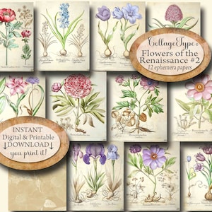 Antique botanical papers, colors, jpg and pdf, digital, ephemera, 12 pages