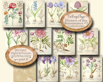 Antique botanical papers, colors, jpg and pdf, digital, ephemera, 12 pages