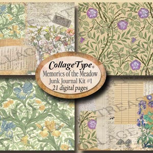 ricordi del prato, acquerelli, seppia, bellissime botaniche antiche 21 pagine digitali