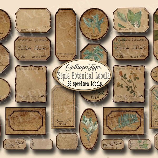 junk journal, labels, specimen tags, ephemera, botanical prints